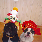 22 めでたいワン