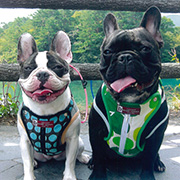 31 ほら、笑ってごらん♪