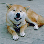 アニマル賞 “ワン”るどだろぉ〜ぅ