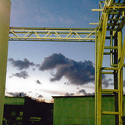 36 ティラノサウルス