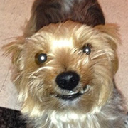 44 笑ってごまかせ